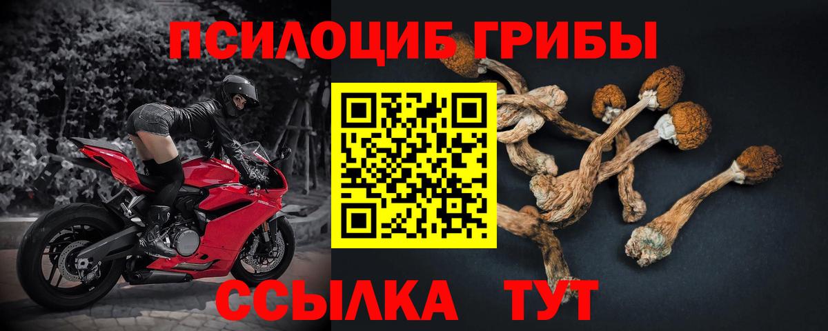 Строитель  Галлюциногенные грибы ЛСД  Вход с VPN  Псилоцибиновые грибы Psilocybe 